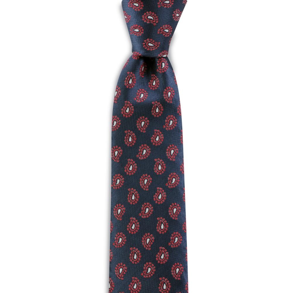 Necktie Mister Paisley - 1